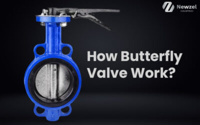 How Butterfly Valve Work? | Newzel Industries